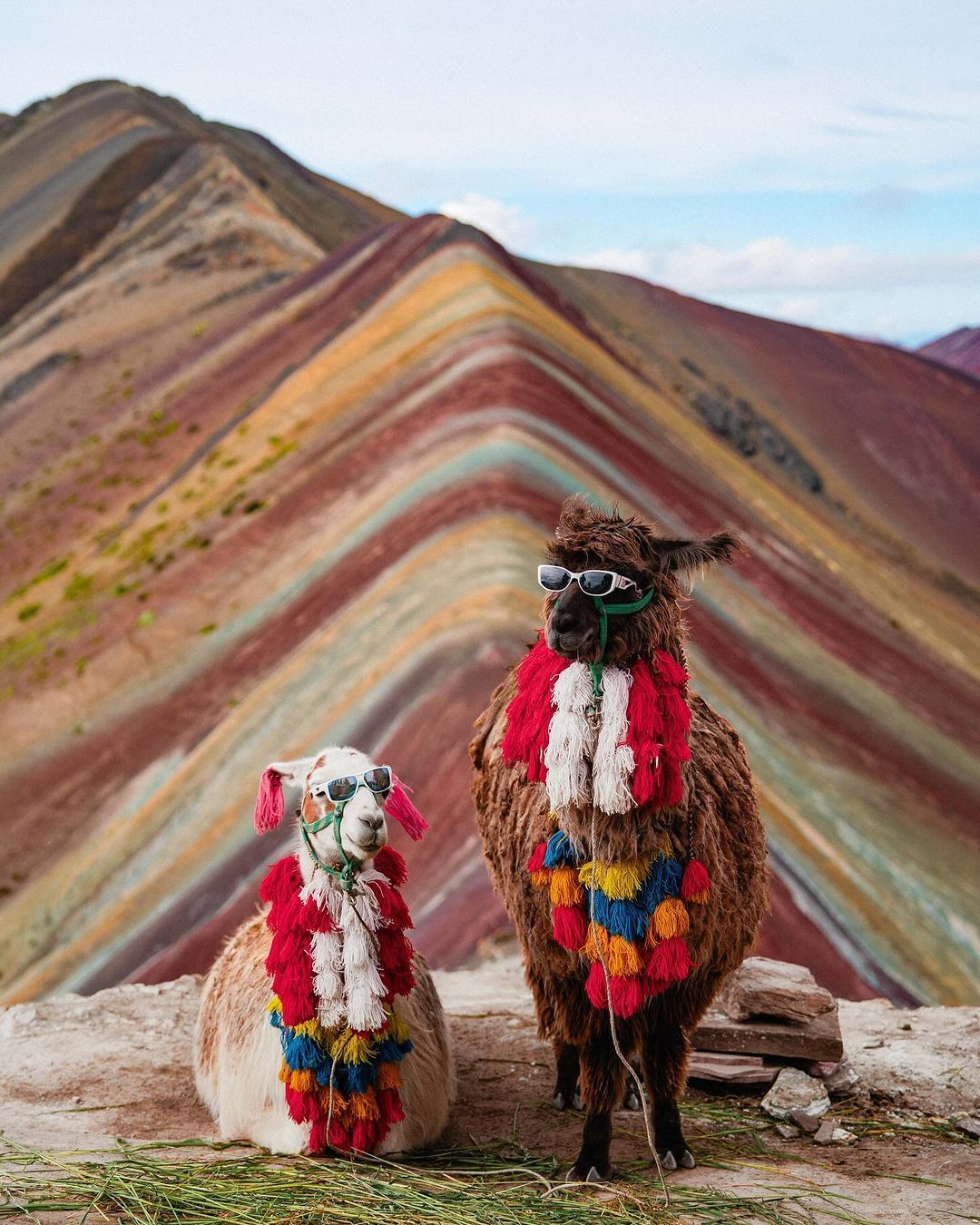 MONTAÑA DE 7 COLORES MONTAÑA DE 7 COLORES